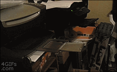 aceunibomber1906: yes-imreallyverypretty:  whysperforsugar:  lagonegirl:    Meet