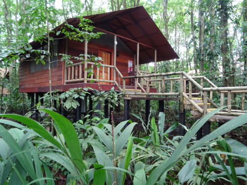 thelight-bringer:   Evergreen Lodge, Tortuguero, Costa Rica