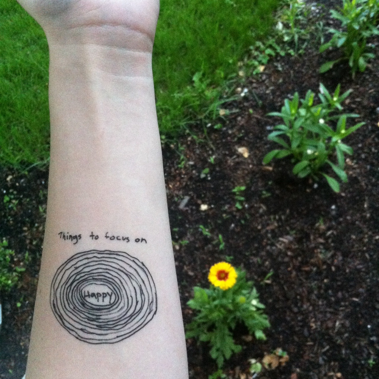 ivoryunknown:  things to focus on: happy.  the motto.