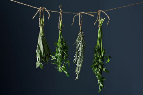 How to Dry Your Herbs | Food52