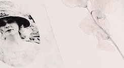 anneswheeler:Daisy Buchanan. The Golden Girl. A breathless warmth flowed from her. A promise that th