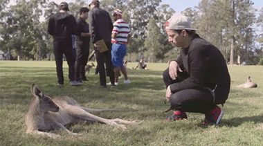 sweetandcaplow:josh dun: professional kangaroo whisperer