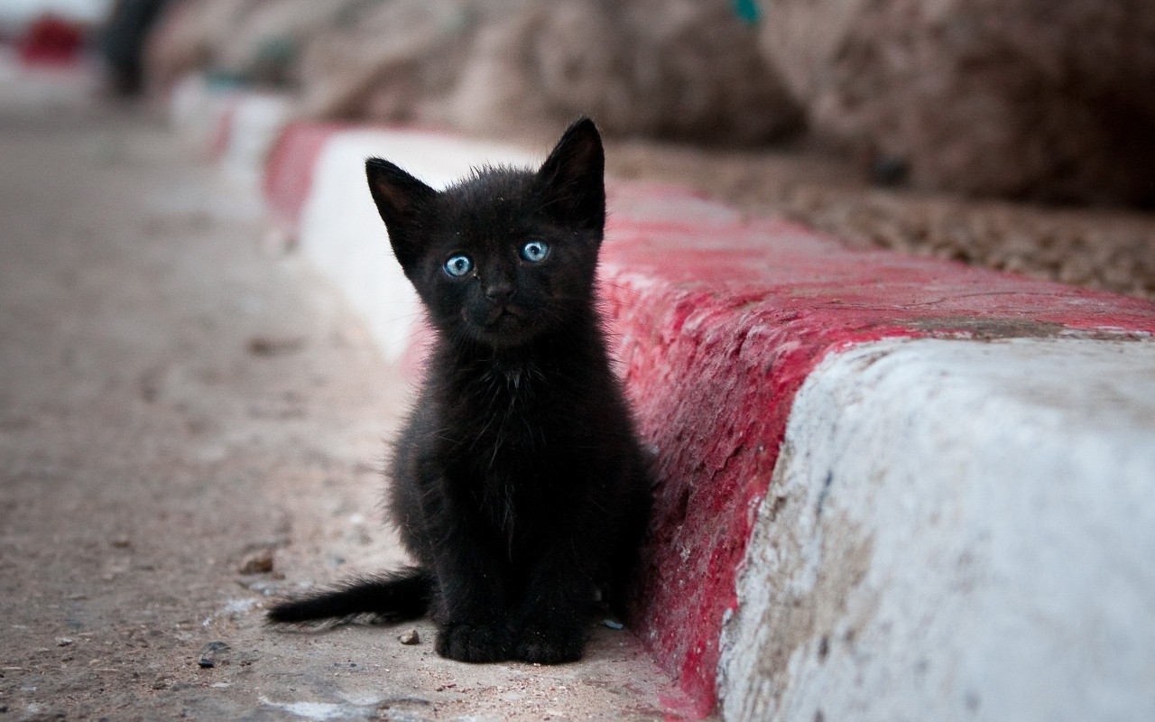 Black babies with blue eyes