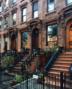 newyorkcityfeelings:Clinton Hill, Brooklyn by Tamara Peterson