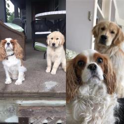 awwww-cute:  When your brother hits his growth spurt and you’re