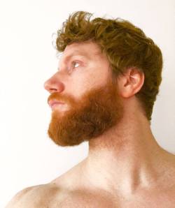 Ginger Genes