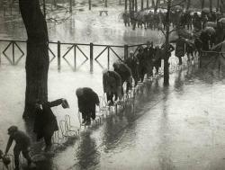 nevertherestillhere:“  Paris flood, 1924.  “