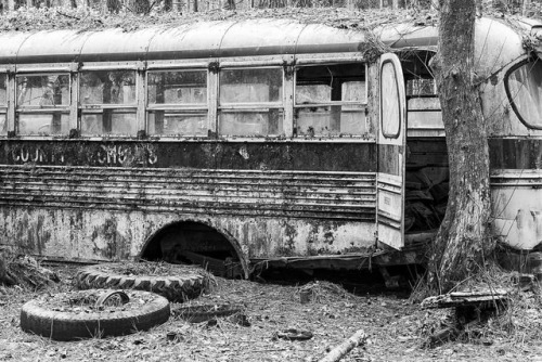 Yellow school bus abandoned in the forest … #bnw #abandoned #abandonedbus #schoolbus #bnwmood