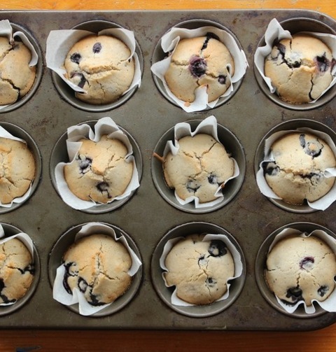 Gluten Free Blueberry Muffins Recipe