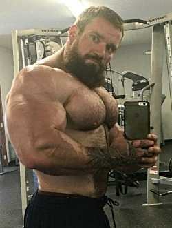 muscleclubeblog:  MOTHAFUCKER HAIRY AND BEEF    Excellent pecs.   