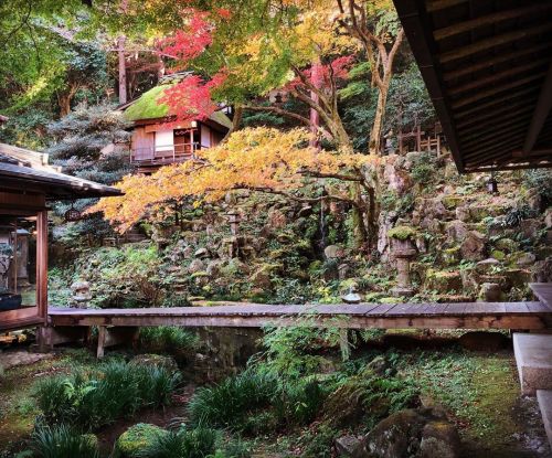 ＼おにわさん更新情報／ ‪[ 滋賀県大津市 ] 月心寺走井庭園・橋本関雪別邸「走井居」 Gesshin-ji Temple Garden, Otsu, Shiga の写真・記事を更新しました。 ーー旧