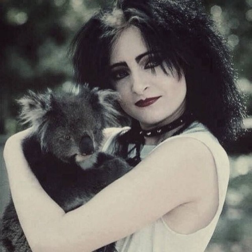 Porn photo themessmusic: Siouxsie and a Koala. This