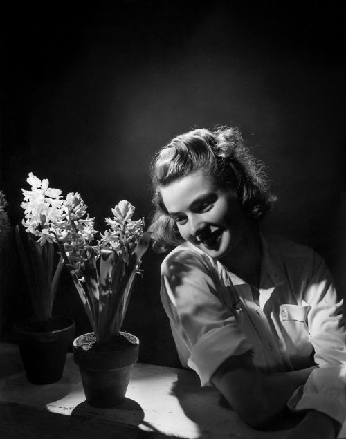loethlifeyoulivelietelifouloe: Ingrid Bergman photo portrait by George Hoyningen-Huene, 1940.