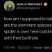 quick-time-events:kaijuno:Spider do engineering, bats do calculus, bees do civil