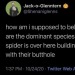 quick-time-events:kaijuno:Spider do engineering, bats do calculus, bees do civil planning, and humans get tears all over their STEM textbooks