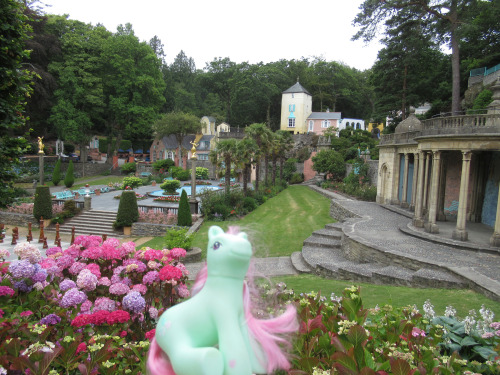 travelling-my-little-pony