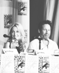 lanaprrilla:  David Duchovny and Gillian Anderson @ SDCC 2013  Anderson: “A lot