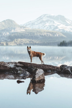 motivationsforlife:  Sparks Lake by henry.nathan // Instagram // Edited by MFL