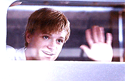 misterfrodos-deactivated2013030:  Actual Puppy Peeta Mellark 