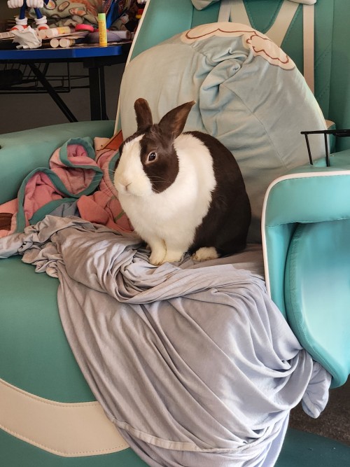 Dis Seat Taken?