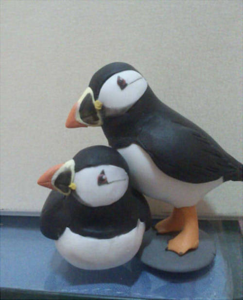 A little commission, two puffins