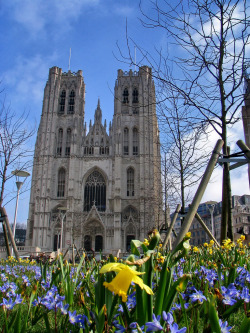 Breathtakingdestinations:  Cathedral Of St. Michael And St. Gudula - Brussels - Belgium