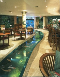 bluepueblo:  Floor Aquarium, Beverly Hills,