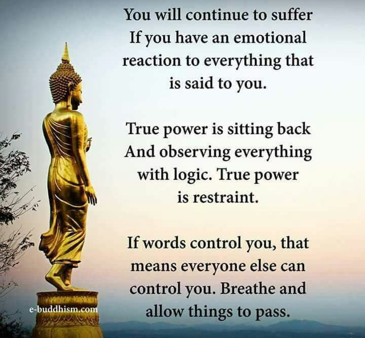 Quotes Daily
