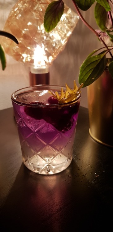 explodinglobsters: G’T - pine wood infused gin, herbal tonic water, topped with butterfly pea tea ( hence the colour ) garnished with lime slices or frozen berries+flowers