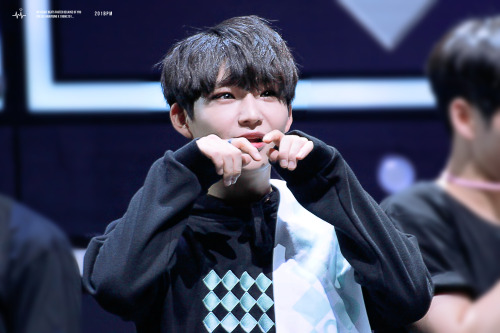 b0ys24: © 201 BPM | do not edit. (1/2)