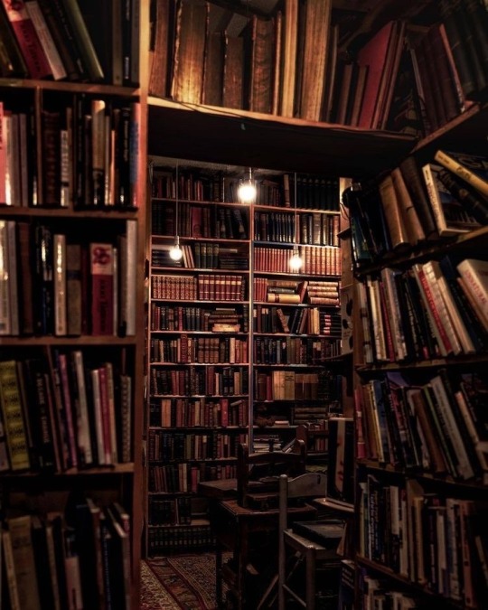 nebula-sunset:sarahaesthetic:I—a man of thought, the bookworm of great libraries—a man already in decay, having given my best years to feed the hungry dream of knowledge.—Nathaniel Hawthorne, The Scarlet Letter@littleteafoxx 