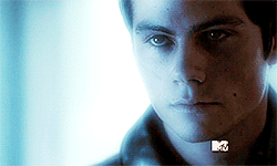 bilesandthesourwolf-deactivated:  sexuality:  