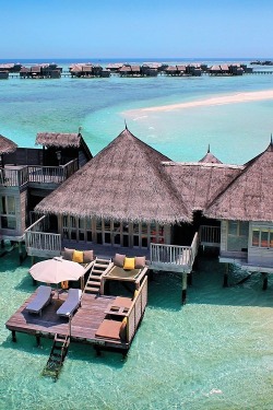 topulence:  Gili Lankanfushi located in the Maldives.     