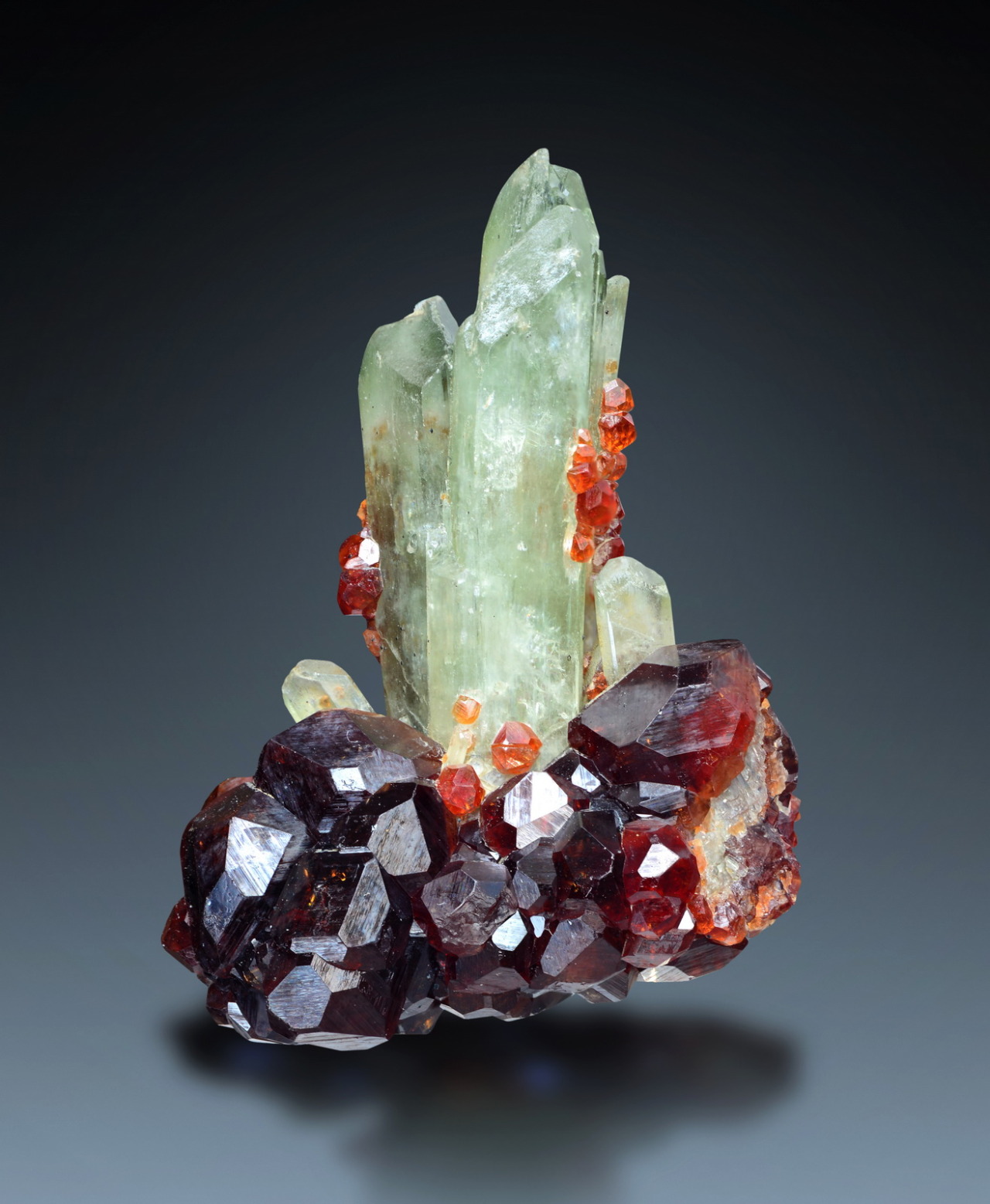 bijoux-et-mineraux:  Hessonite and Diopside - Ala Valley, Lanzo Valleys, Torino Province,