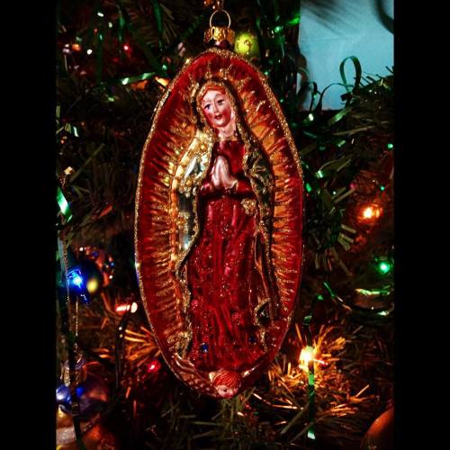 #lupita #virgendeguadalupe #navidad  (at Hacienda Pèrez-Garcia)