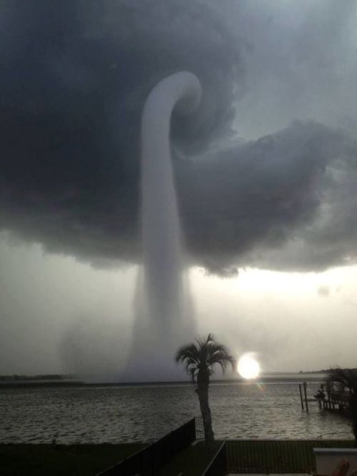 sixpenceee: This is an example of a waterspout, which is a tornado that forms over water, or moves f