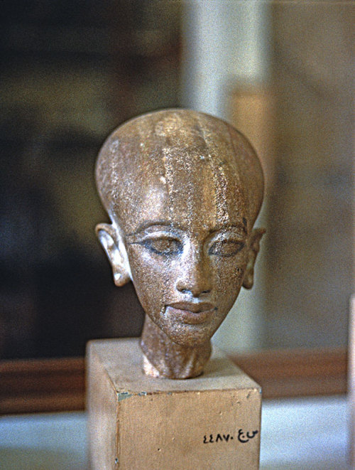 Head of Amarnian Princess, probably MeritatenThis yellow-brown quartzite head of a princess is proba
