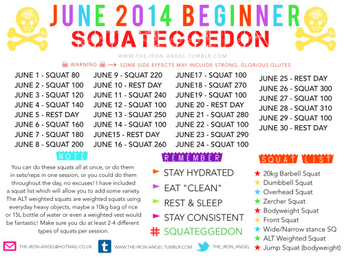 iwillbeskinny123:  workinonmyfitnessbetterme:  fitpositively:  the-iron-angel:  THE-IRON-ANGEL »»> NOVEMBER 2014 BEGINNER SQUATEGGEDON ««< »»> DECEMBER 2014 BEGINNER SQUATEGGEDON ««< Alright everyone! I’ve spent a lot of time doing