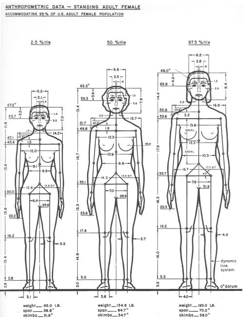 backoffice:  The Measure of Man, Henry DreyfussThese drawings and more featured in Beautiful Users.