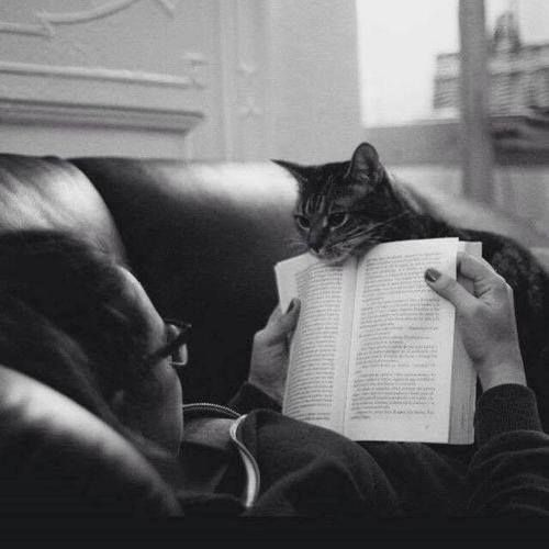 April 30, 2016 at 01:39PM // fb.com/women.underwear.books/ // Untitled