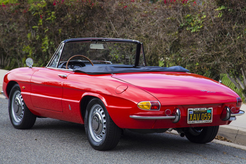 1967 Alfa Romeo Spider 1600 Duetto