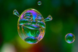 littleshrekthings:  blowing bubbles for your