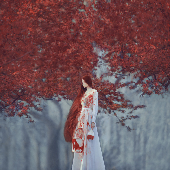 myampgoesto11:  Oleg Oprisco Photography 