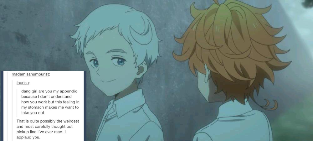 the promised neverland, Tumblr