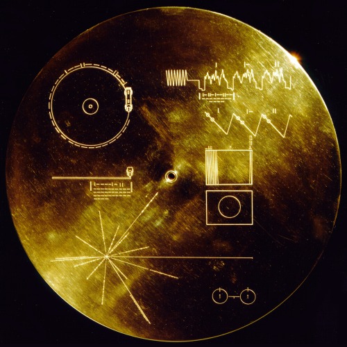 The Golden record (1977).