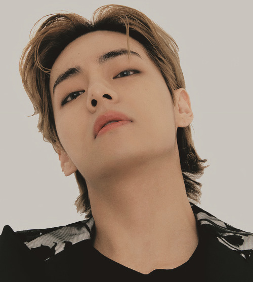 BTS V for VARIETY