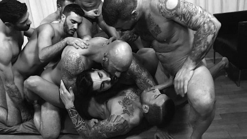 fuckingneongreen:  http://swiss-stallion.tumblr.com/image/120691438021 