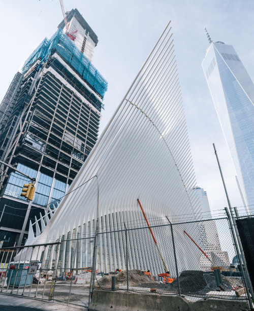 archatlas:World Trade Center Transportation Hub Santiago CalatravaCalatrava’s first major design dec