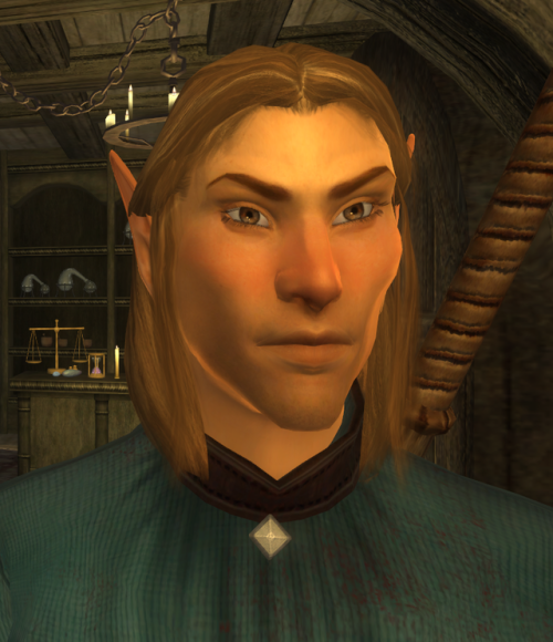 elfprince:who would i be if my hero of kvatch wasn’t a blushy altmer nerd mage?