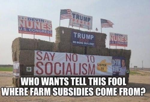 Liberal Memes